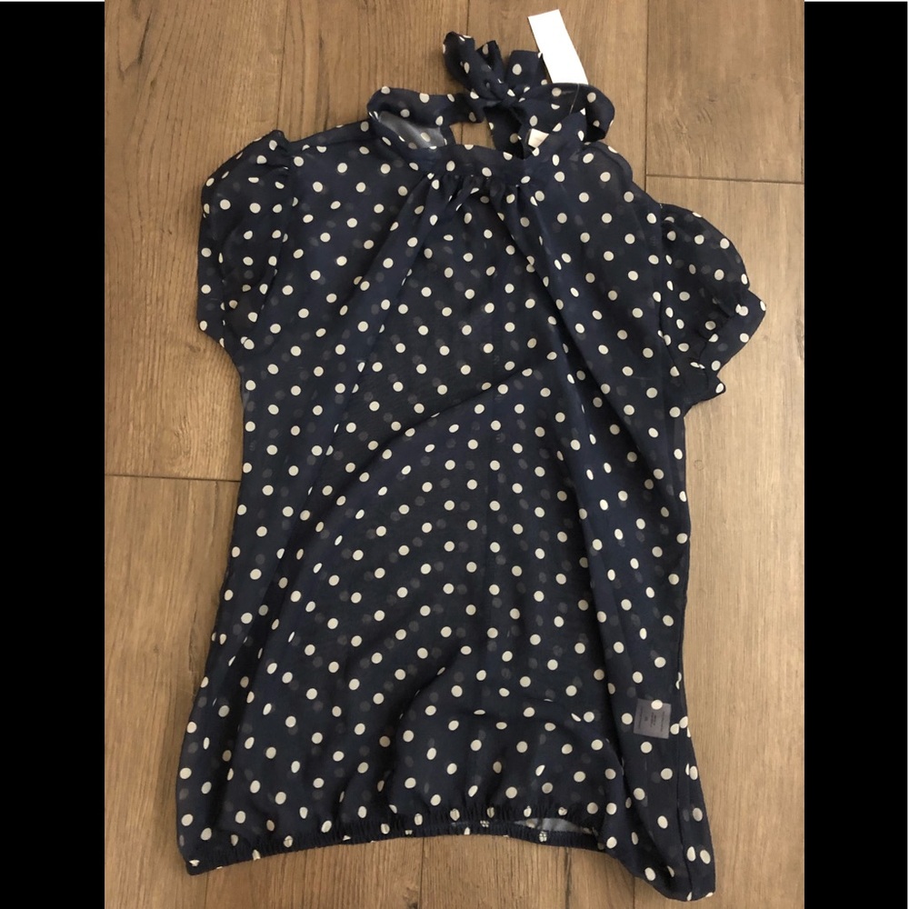 Sheer Polka Dot Blouse